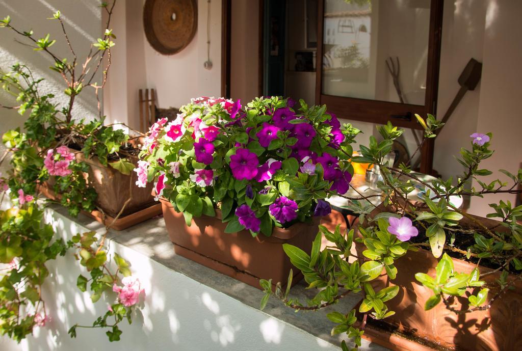 B&B Martina San Vito  Exterior foto